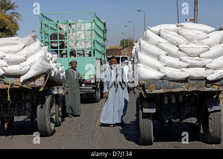 WEIßEN Säcke auf Karren nahe Assuan Ägypten 11. Januar 2013 Stockfoto