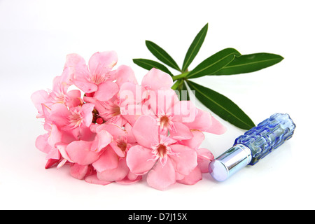 Bouquet von hellrosa Blüten und blauen Parfüm-Flaschen auf dem weißen Hintergrund. Stockfoto