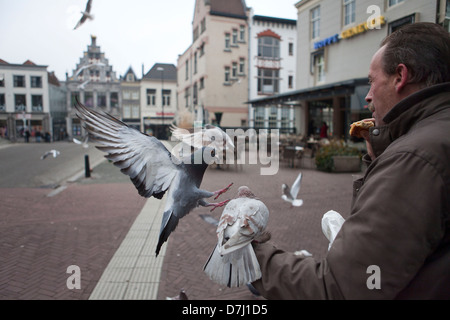 Füttern von Tauben in Dordrecht, Holland Stockfoto