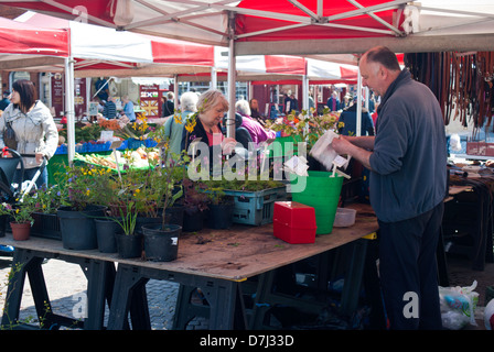 Pflanze Stand auf dem Marktplatz in Newark on Trent, Nottinghamshire, England UK Stockfoto