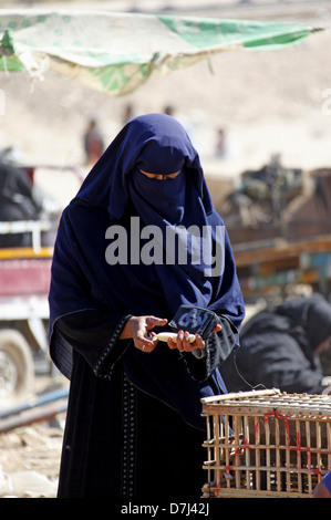 ÄGYPTISCHE MUSLIMA tragen von BURKA nahe Assuan Ägypten 11. Januar 2013 Stockfoto