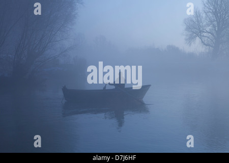 Mann im Nebel im Nationalpark "de Biesbosch" in Holland Stockfoto