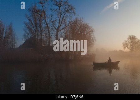 Mann im Nebel im Nationalpark "de Biesbosch" in Holland Stockfoto