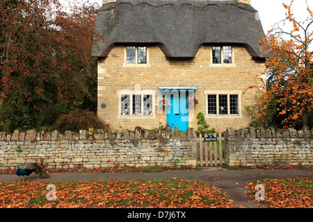 Ferienhaus im Dorf Ashton, (Heim der Conker Weltmeisterschaft) Northamptonshire County, England, UK Stockfoto