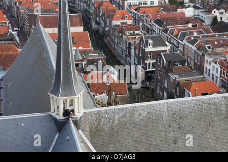 Sanierung des Daches der "Grote Kerk" in Dordrecht, Holland Stockfoto