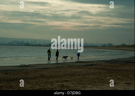 Seaton Carew Beach.family zu Fuß am Strand Hunde am frühen Abend im winter.north Meer Küste, in Stahlwerken, Redcar, Cleveland Stockfoto