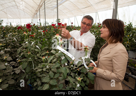 Niederländische Minister Lilanne Ploumen (Entwicklungshilfe) besucht eine niederländische Blumenfarm außerhalb Addid Abeba, Äthiopien. Stockfoto