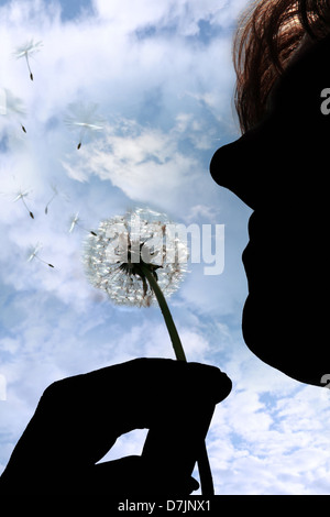 eine Silhouette schöne Löwenzahn sanft von einer Frau mittleren Alters in einem Garten vor einem bewölkten Himmel geblasen Stockfoto