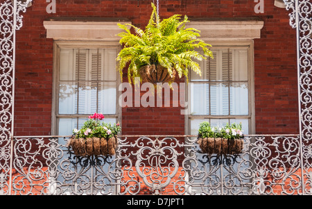 USA, New Orleans, Louisiana, Ansicht von Fassade und Balkon Stockfoto