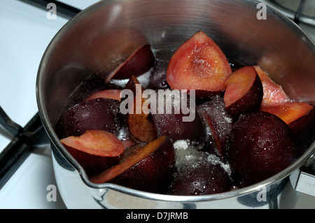 Bio rote Pflaumen im Topf mit Zucker bereit, gedünstet werden vorbereitet Stockfoto