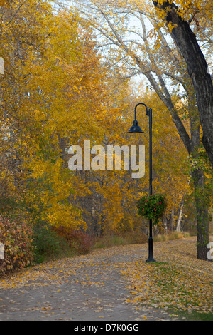 Herbstfarben im Prince's Island Park entlang des Trans Canada Trail Stockfoto