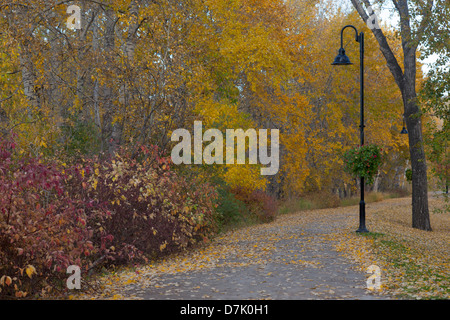 Autumn colors along the Trans Canada Trail in Prince's Island Park, Calgary Stockfoto