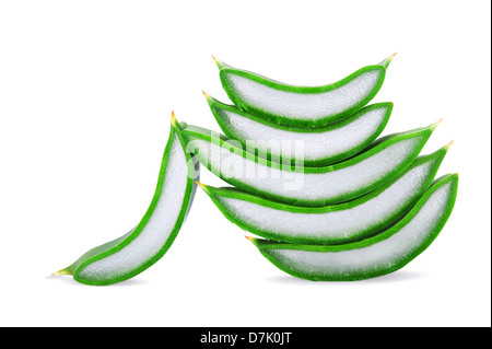 Aloe Vera Scheiben isoliert auf weißem Hintergrund Stockfoto