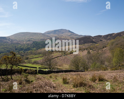 Nantmor Gwynedd North Wales kann Blick auf Ackerland, Moel Hebog in Snowdonia-Nationalpark Stockfoto