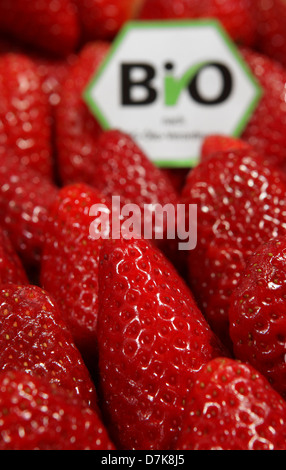 Berlin, Deutschland, Erdbeeren mit einem Bio-Siegel Stockfoto