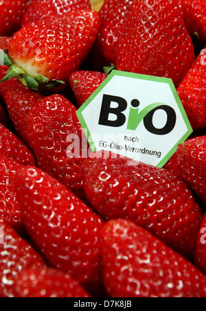 Berlin, Deutschland, Erdbeeren mit einem Bio-Siegel Stockfoto