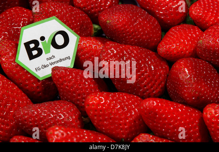 Berlin, Deutschland, Erdbeeren mit einem Bio-Siegel Stockfoto