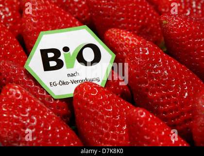 Berlin, Deutschland, Erdbeeren mit einem Bio-Siegel Stockfoto