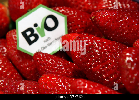 Berlin, Deutschland, Erdbeeren mit einem Bio-Siegel Stockfoto