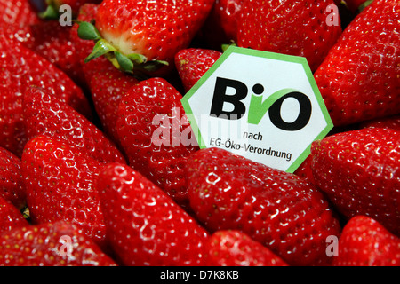 Berlin, Deutschland, Erdbeeren mit einem Bio-Siegel Stockfoto