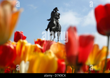 George Washington-Statue und Tulpen, Public Garden, Boston, Massachusetts Stockfoto