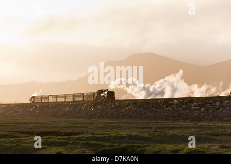 Eine Dampflok zieht einen Personenzug der Welsh Highland Railway über Kolben, abends, bei Porthmadog Stockfoto