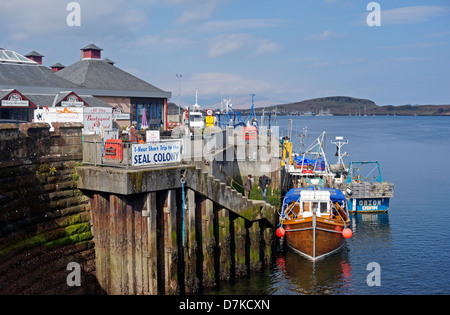 Kreuzfahrt Schiff zur Kolonie auf Passagiere in Oban Hafen Argyle und Bute Schottland unter Abdichtung Stockfoto