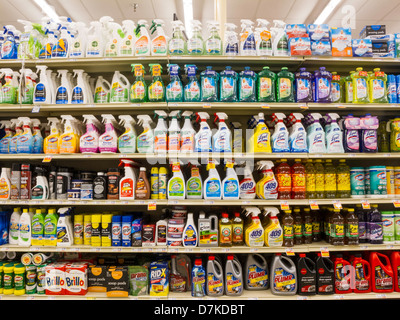 Food Lion Lebensmittelgeschäft in South Carolina, USA Stockfoto