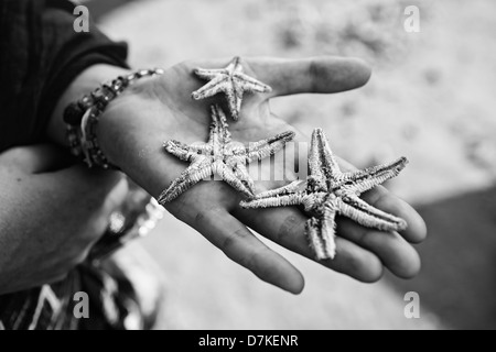 Drei Tote Seestern auf einer weiblichen Palme. schwarz / weiß Foto Stockfoto