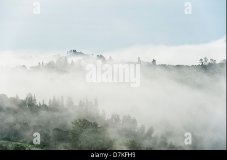 Morgennebel bedeckt die Hügel außerhalb von Florenz, Toskana, Italien Stockfoto