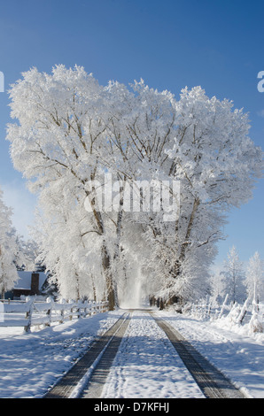 Eine ländliche Landstraße ist in weiß mit frisch gefallenem Schnee auf der Bäume, die Straße und die umgebenden Zäune geschmückt. Stockfoto