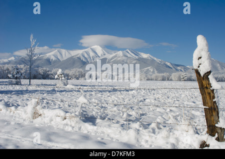 Neuschnee Mäntel nicht nur die Stiftskirche Spitzen Bergen und Mount Princeton im Hintergrund, aber die Felder und Gräser. Stockfoto