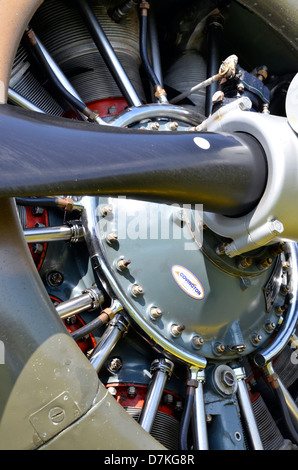 North American Aviation Harvard ll - close-up der Nase mit Sternmotor Pratt & Whitney R-1340-AN-1 und variabler Steigung Prop. Stockfoto