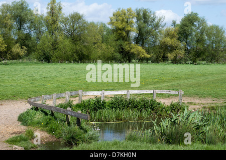 Ein kleiner Teich, bewacht von hölzernen Zäune, in einem Feld mit Bäumen im Hintergrund. Stockfoto