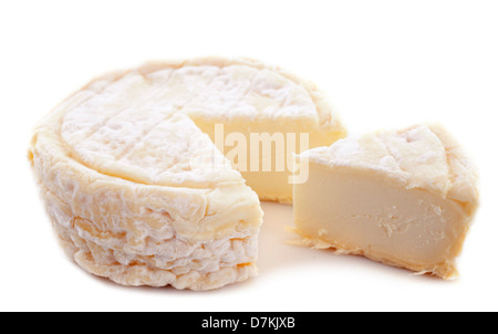 Saint-Marcellin Käse vor weißem Hintergrund Stockfoto