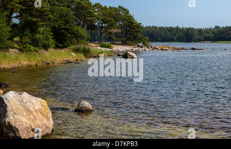 Kiefern auf einer schroffen Küstenlinie auf Nynashamn, einem kleinen Dorf im südlichen Schweden Stockholm Archipel. Stockfoto