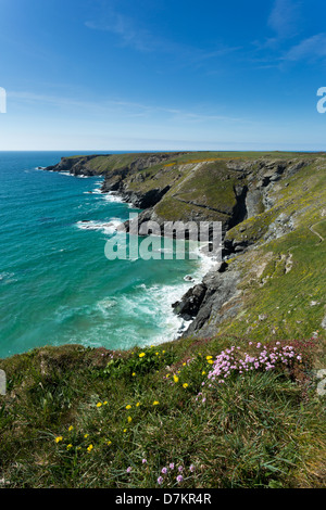 Blick zum Park Kopf in der Nähe von Bedruthan Steps, Cornwall im Frühjahr Stockfoto