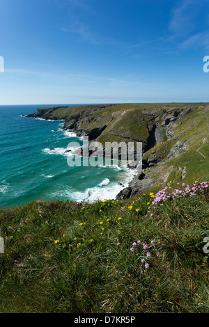 Blick zum Park Kopf in der Nähe von Bedruthan Steps, Cornwall im Frühjahr Stockfoto