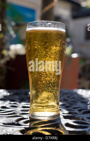 frisch gezapftes Lager Bier in der Sonne glüht Stockfoto