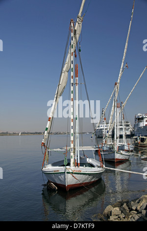 Pferd im Wasser in der Nähe von FELUKE Fluss Nil LUXOR Ägypten 13. Januar 2013 Stockfoto