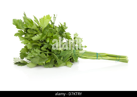 Frische Petersilie Haufen. Isoliert auf weißem Hintergrund Stockfoto