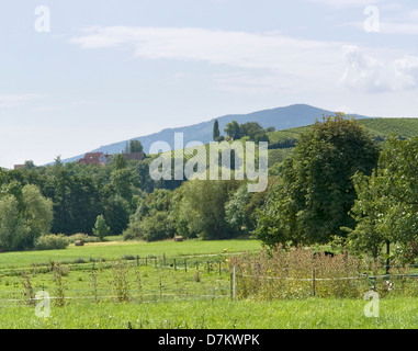 Landschaft um Mittelbergheim, benannt ein Dorf von einer Region in Frankreich Alsace Stockfoto