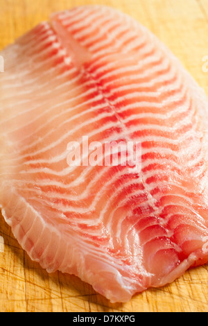 frisches rohes Tilapia Filets Stockfoto