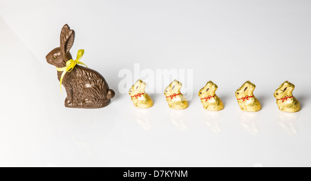 Große Schoko Osterhase mit kleineren Schokohasen hintereinander aufgereiht. Studio Isolated on White mit Reflexion. Teil einer Serie. Stockfoto