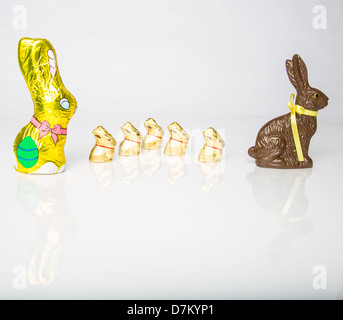 Große Schoko Osterhase mit kleineren Schokohasen hintereinander aufgereiht. Studio Isolated on White mit Reflexion. Teil einer Serie. Stockfoto