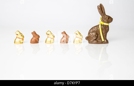 Große Schoko Osterhase mit kleineren Schokohasen hintereinander aufgereiht. Studio Isolated on White mit Reflexion. Teil einer Serie. Stockfoto