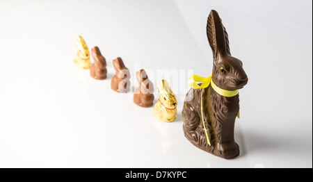 Große Schoko Osterhase mit kleineren Schokohasen hintereinander aufgereiht. Studio Isolated on White mit Reflexion. Teil einer Serie. Stockfoto