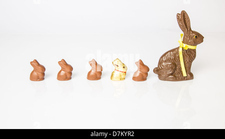 Große Schoko Osterhase mit kleineren Schokohasen hintereinander aufgereiht. Studio Isolated on White mit Reflexion. Teil einer Serie. Stockfoto