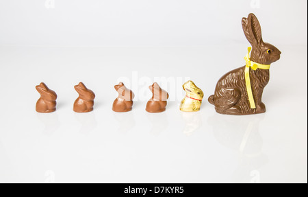 Große Schoko Osterhase mit kleineren Schokohasen hintereinander aufgereiht. Studio Isolated on White mit Reflexion. Teil einer Serie. Stockfoto