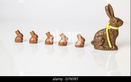 Große Schoko Osterhase mit kleineren Schokohasen hintereinander aufgereiht. Studio Isolated on White mit Reflexion. Teil einer Serie. Stockfoto